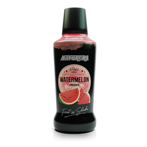 Polot Fruit N Shake meloun 0,75l